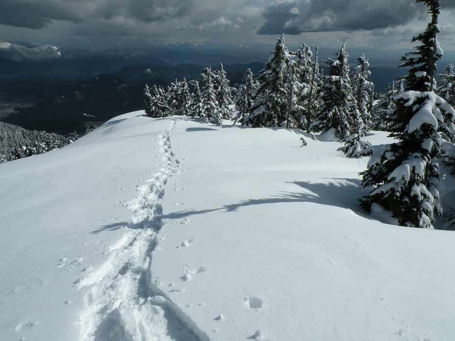 Summit ridge on mount Crickmer