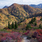 Mt Bunagatake Autumn, Mount Bunagatake