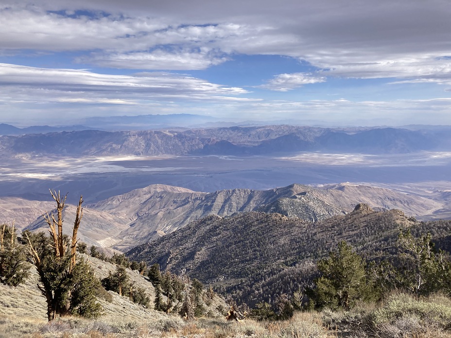 Up top 11-2020, Telescope Peak