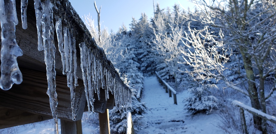 Mount LeConte