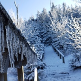 Mount LeConte