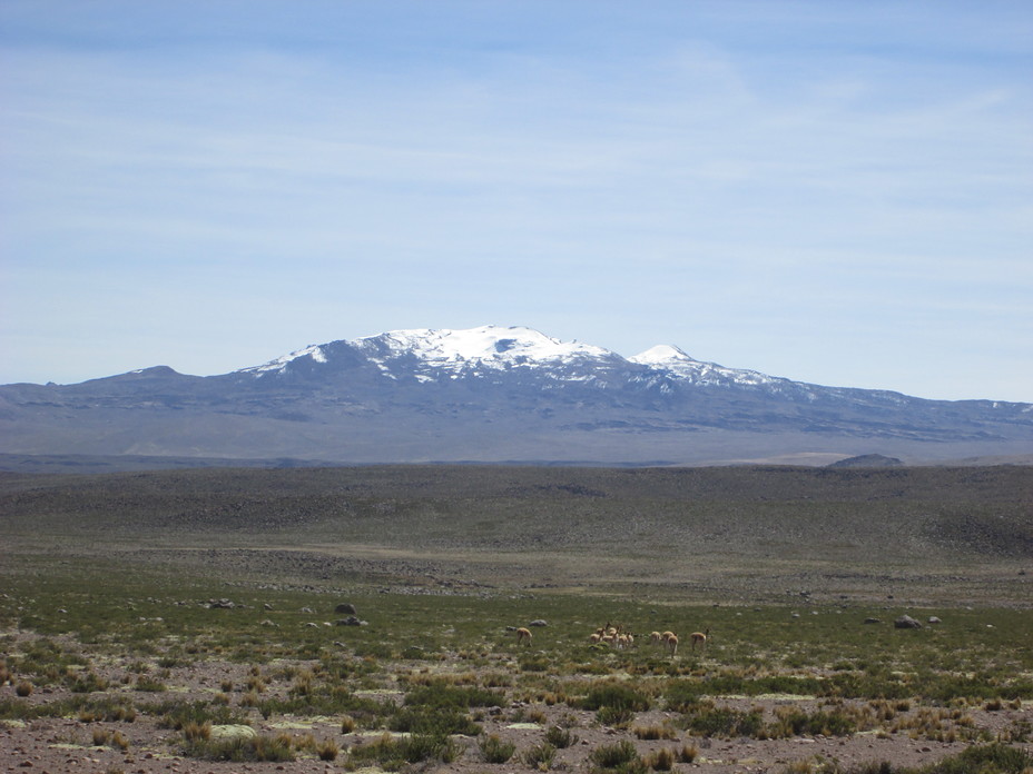 Firura from the South, Nevados Firura