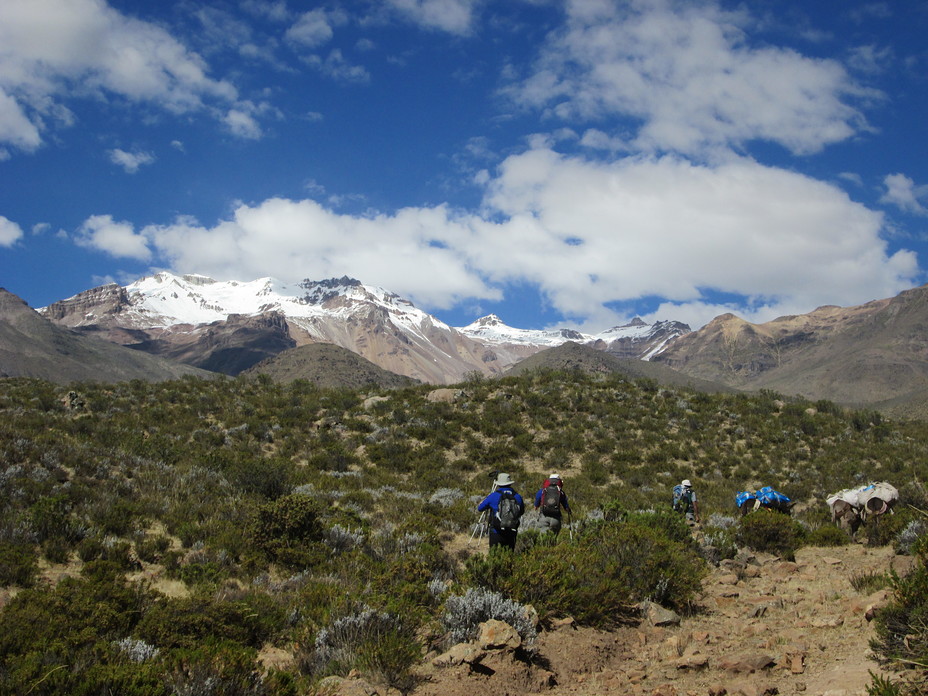 Hualca Hulaca from the approach trek, Hualca Hualca