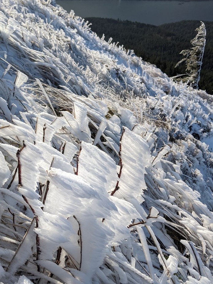 Heavy frost, Dog Mountain