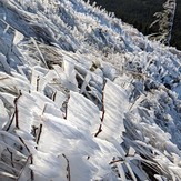 Heavy frost, Dog Mountain