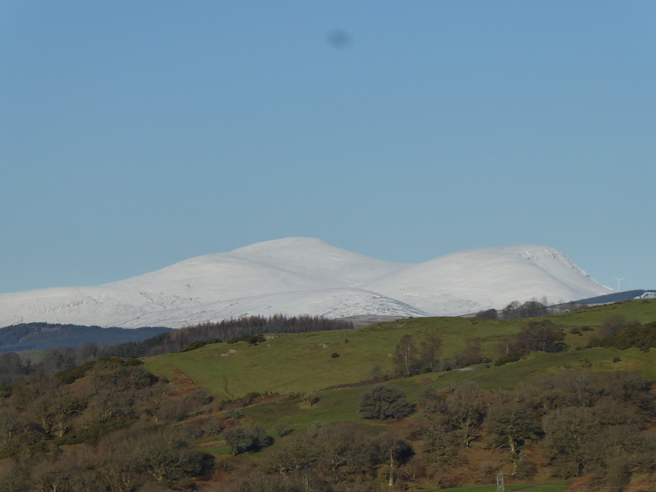 Cairnsmore of Carsphairn from the south