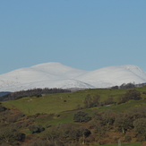 Cairnsmore of Carsphairn from the south