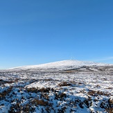 Kippure in snow