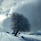 Standing strong, Mount Olympus