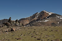 White Mountain Peak  photo