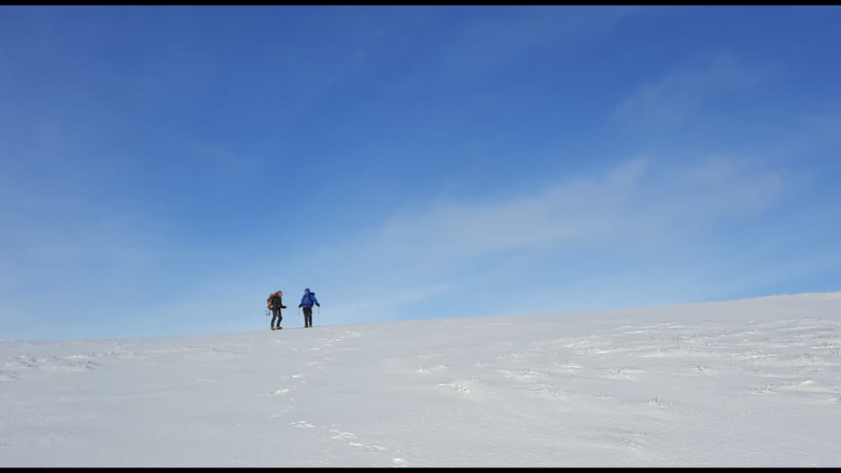 Bizzle Cragg up on to West Hill, The Cheviot