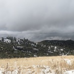 Snow - November 2019 near Figueroa Mtn., Figueroa Mountain