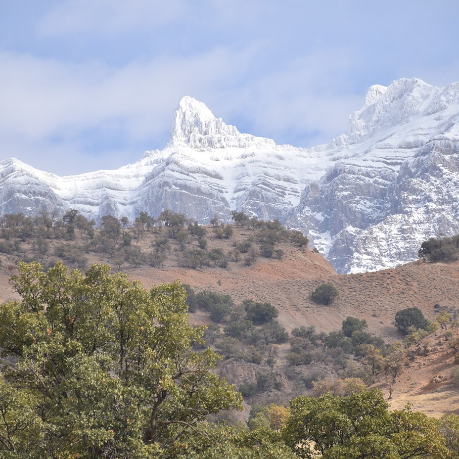 speshal mountains, Dena