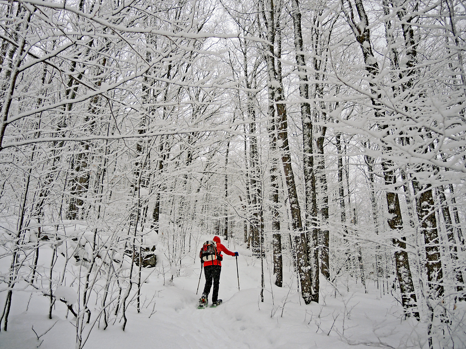 Winter Wonderland on trail to Mt. VanHoevenbery, Adirondacks, NY, Mount Van Hoevenberg