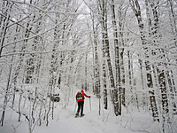 Winter Wonderland on trail to Mt. VanHoevenbery, Adirondacks, NY, Mount Van Hoevenberg photo