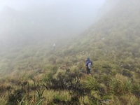 Peak Terrain, Mount Apo photo