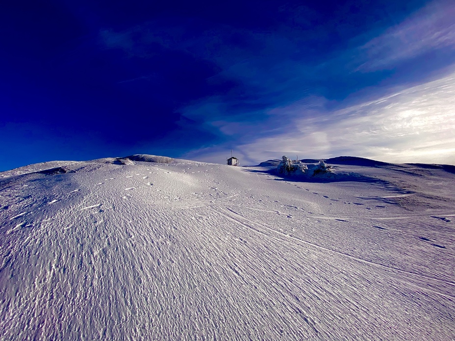 Cardigan summit, Mount Cardigan