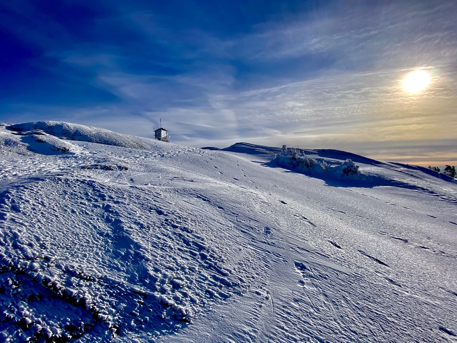 Cardigan summit, Mount Cardigan