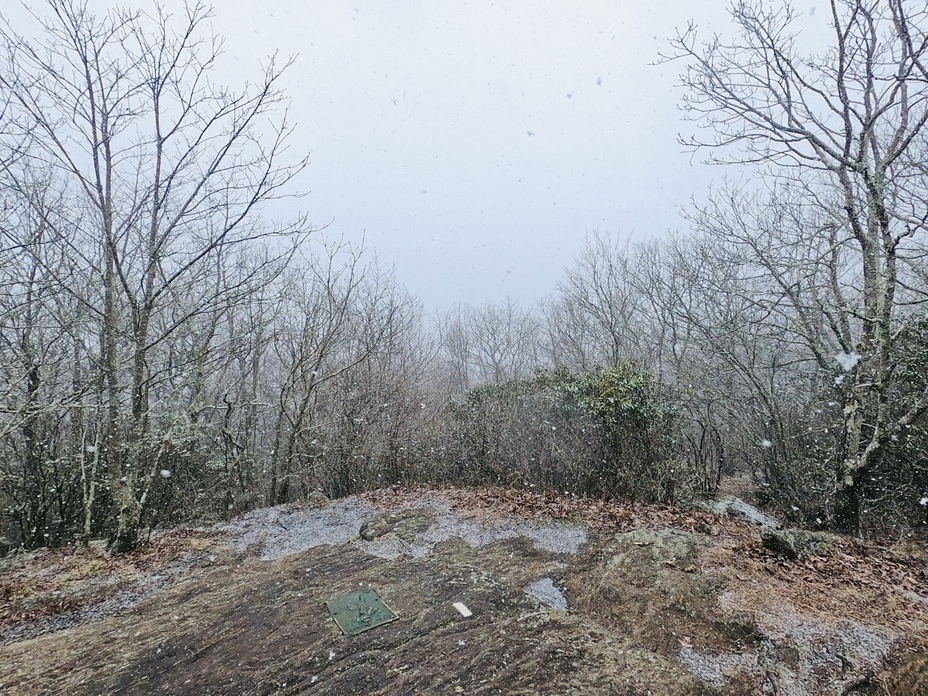 Springer Mountain weather