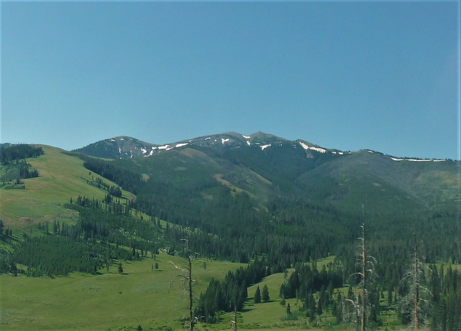 Mt. Washburn, Mount Washburn