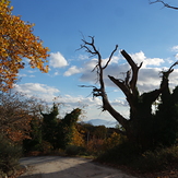 Pelio, Pelion