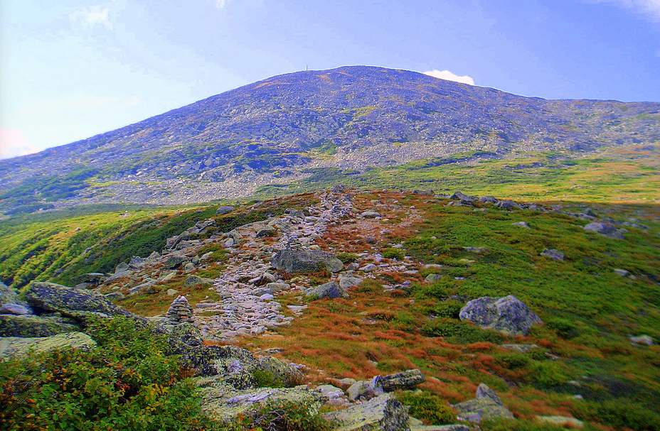 Mt. Washington from Alpine Garden, Mount Washington (New Hampshire)