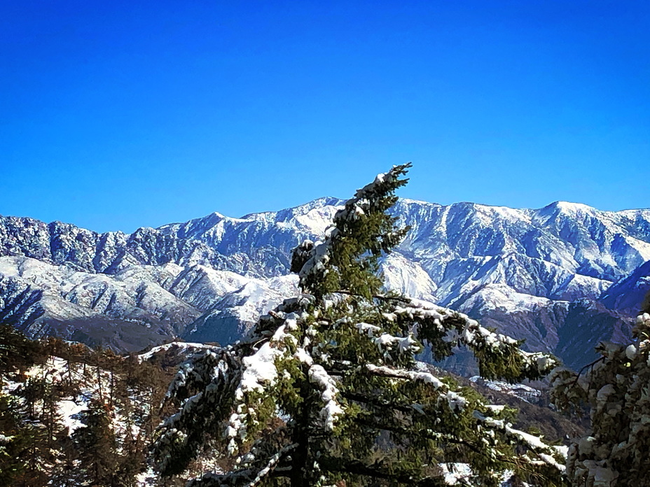 Wilson Road, Mount Wilson (California)