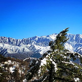 Wilson Road, Mount Wilson (California)