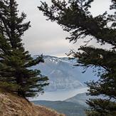 Columbia River through the trees, Dog Mountain