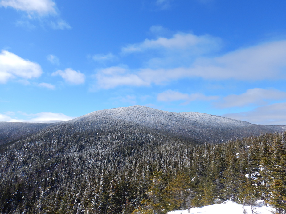Mount Hale (New Hampshire) weather
