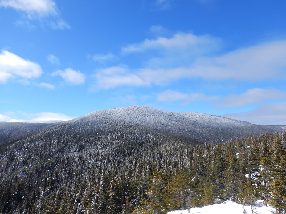 Mount Hale, Twin Range, White Mountains, NH, Mount Hale (New Hampshire)