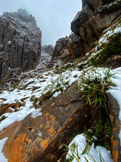 Summer Snow, Mount Ossa photo