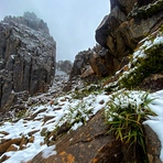 Summer Snow, Mount Ossa