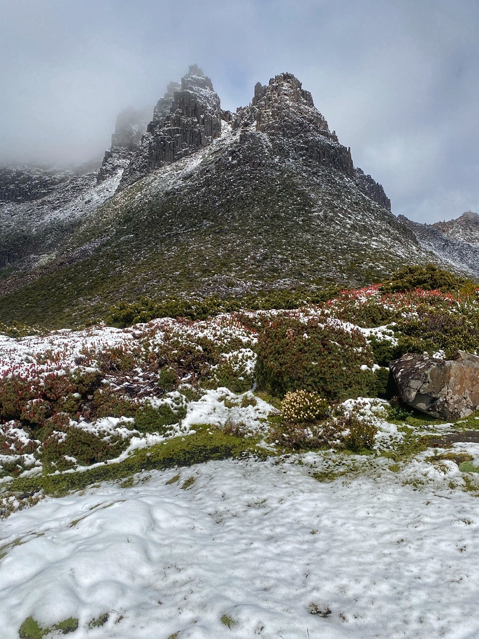 Summer Snow, Mount Ossa