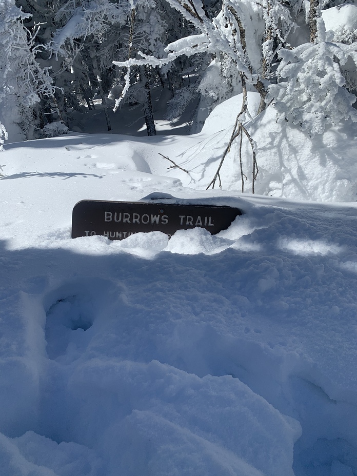 Burrows trail, Camels Hump