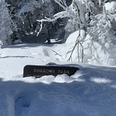 Burrows trail, Camels Hump