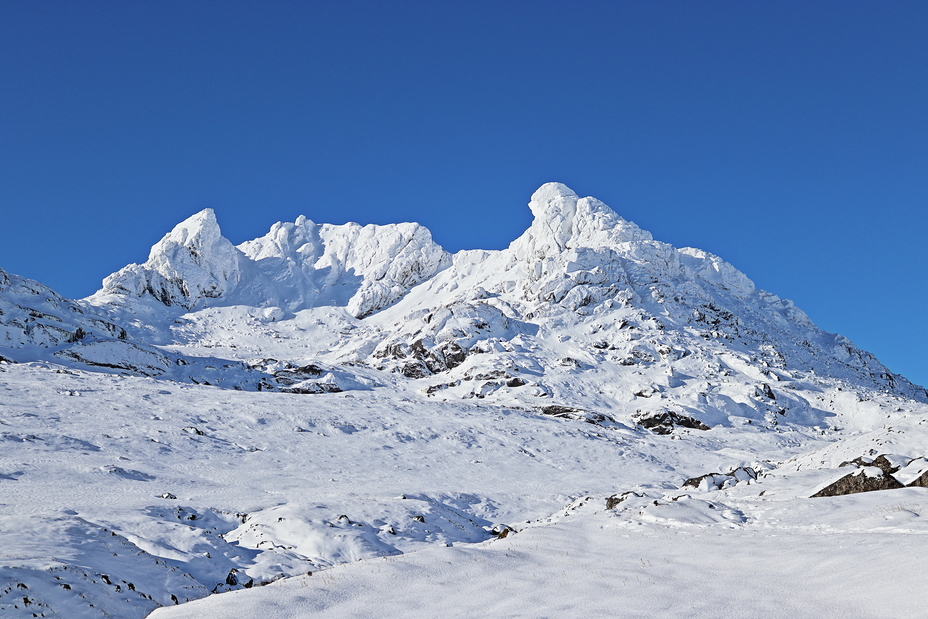 The Cobbler