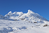 The Cobbler photo