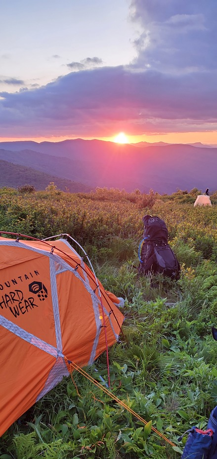 Black Balsam knob 