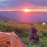 Black Balsam knob 