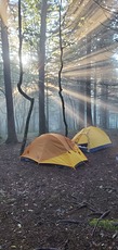 Sunbeams in the Smokies, Clingman's Dome photo