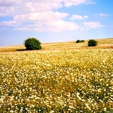 Heldovan peak in Espinas Forest, سبلان