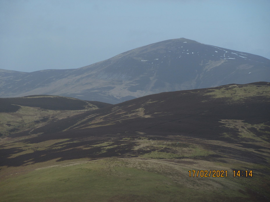 View, Culter Fell