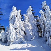 W drodze na Śnieżnik, Králický Sněžník