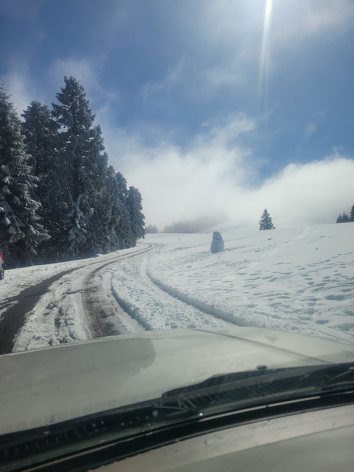 Snowy road, Marys Peak