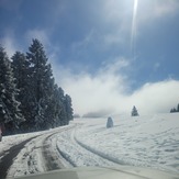 Snowy road, Marys Peak