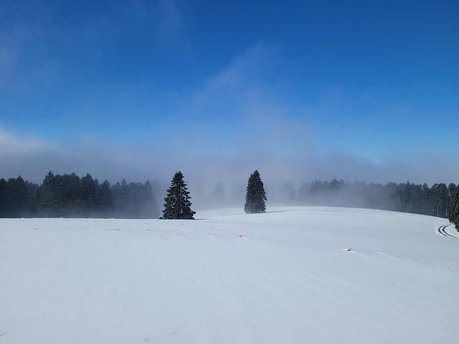 Snowy hill, Marys Peak