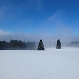 Snowy hill, Marys Peak