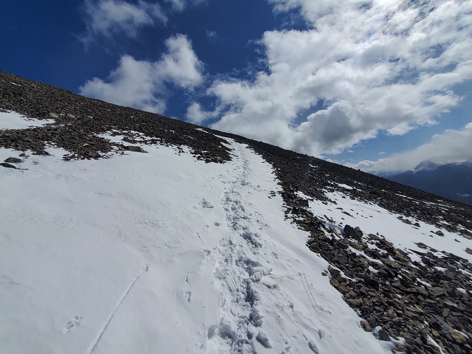 Scree to the grotto ridge west to east, Mount Lady MacDonald