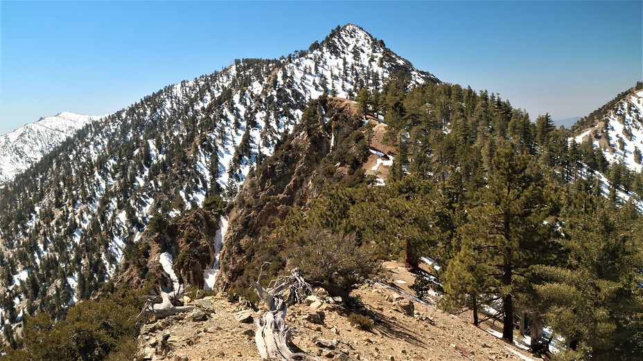 Telegraph from the NE ridge, Telegraph Peak (California)